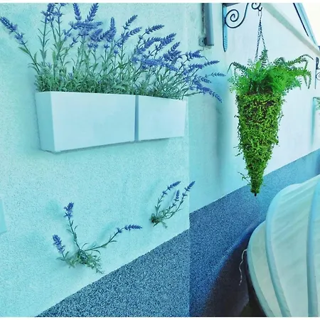 Apartamento Littlevenice Appartme 50m From Sea *