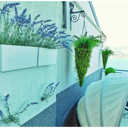 Apartamento Littlevenice Appartme 50m From Sea *